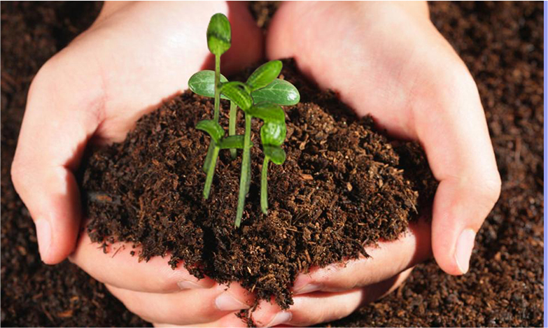 中国十大娱乐赌博城网址 - 十大最新赌博正规网址